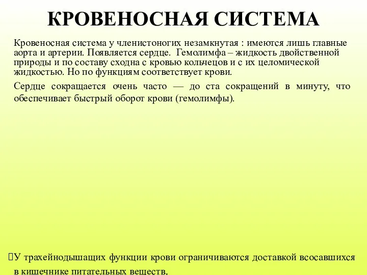 КРОВЕНОСНАЯ СИСТЕМА Кровеносная система у членистоногих незамкнутая : имеются лишь