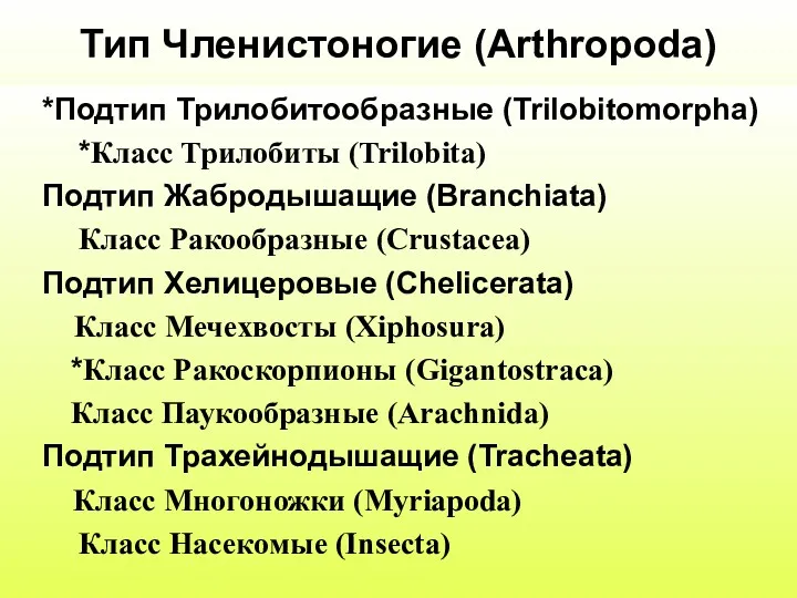 Тип Членистоногие (Arthropoda) *Подтип Трилобитообразные (Trilobitomorpha) *Класс Трилобиты (Trilobita) Подтип