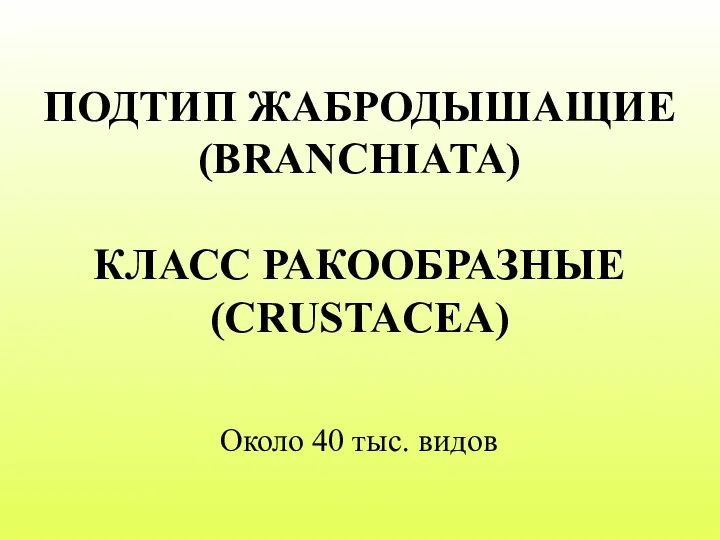 ПОДТИП ЖАБРОДЫШАЩИЕ (BRANCHIATA) КЛАСС РАКООБРАЗНЫЕ (CRUSTACEA) Около 40 тыс. видов