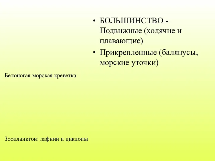 БОЛЬШИНСТВО - Подвижные (ходячие и плавающие) Прикрепленные (балянусы, морские уточки)