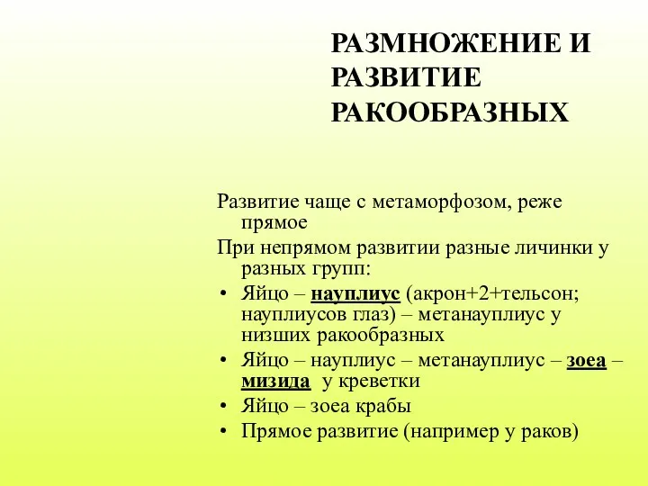 Развитие чаще с метаморфозом, реже прямое При непрямом развитии разные