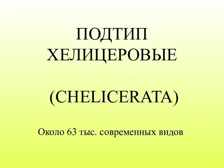 ПОДТИП ХЕЛИЦЕРОВЫЕ (CHELICERATA) Около 63 тыс. современных видов