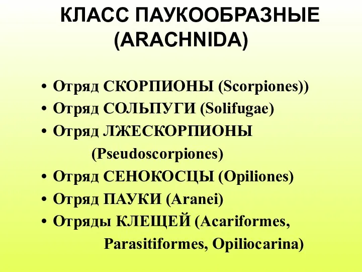 КЛАСС ПАУКООБРАЗНЫЕ (ARACHNIDA) Отряд СКОРПИОНЫ (Scorpiones)) Отряд СОЛЬПУГИ (Solifugae) Отряд