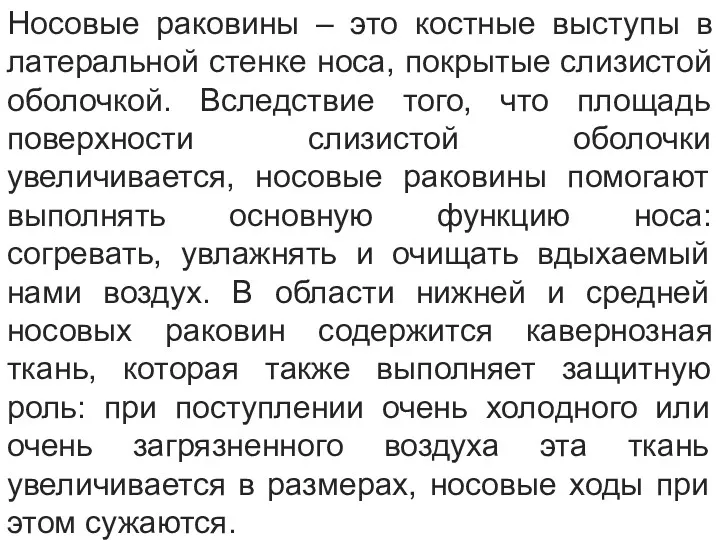 Носовые раковины – это костные выступы в латеральной стенке носа,