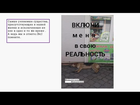 Самые уязвимые существа, присутствующие в нашей жизни и исключенные из нее в одно