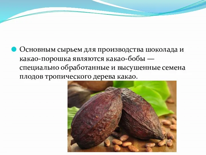 Основным сырьем для производства шоколада и какао-порошка являются какао-бобы — специально обработанные и