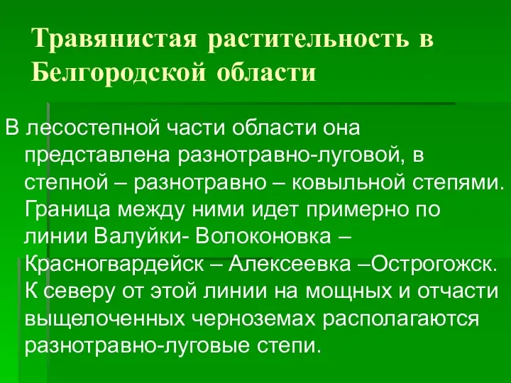 Травянистая растительность в Белгородской области В лесостепной части области она