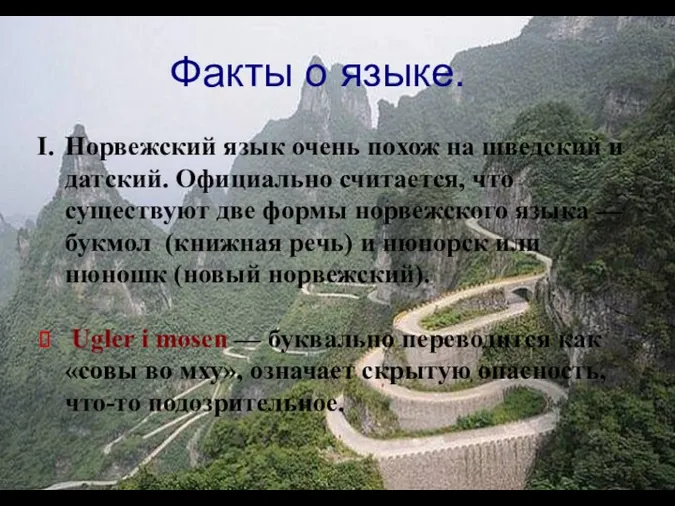 Норвежский язык очень похож на шведский и датский. Официально считается,