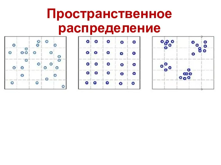 Пространственное распределение Случайное Равномерное Групповое