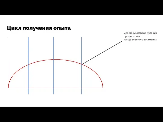 Цикл получения опыта Уровень метаболических процессов и направленного внимания