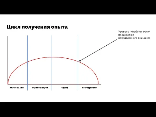 Цикл получения опыта Уровень метаболических процессов и направленного внимания мотивация ориентация опыт интеграция