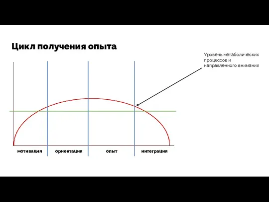 Цикл получения опыта Уровень метаболических процессов и направленного внимания мотивация ориентация опыт интеграция