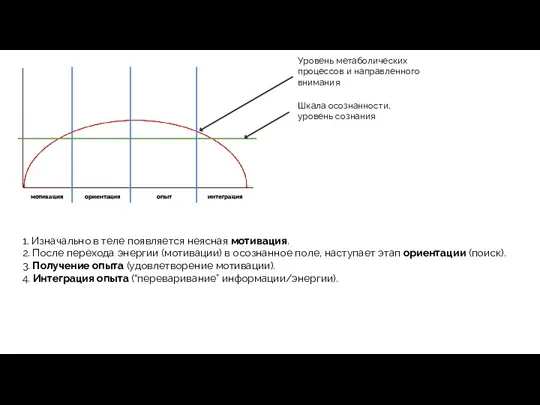 Уровень метаболических процессов и направленного внимания мотивация ориентация опыт интеграция