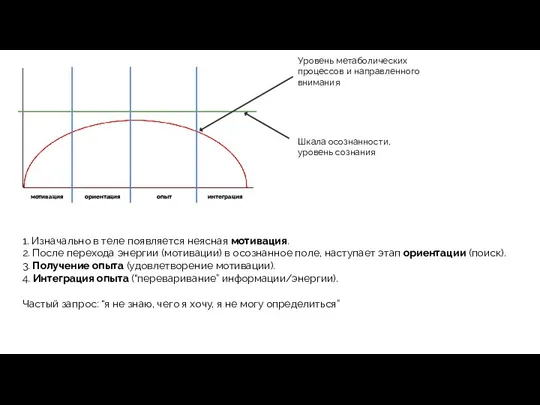 Уровень метаболических процессов и направленного внимания мотивация ориентация опыт интеграция