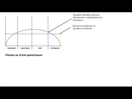 Уровень метаболических процессов и направленного внимания мотивация ориентация опыт интеграция