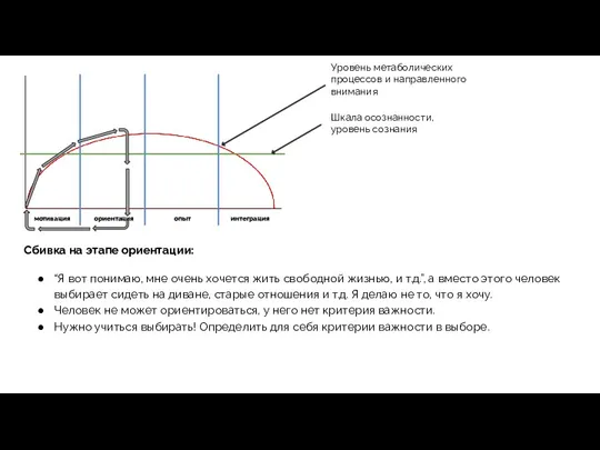 Уровень метаболических процессов и направленного внимания мотивация ориентация опыт интеграция