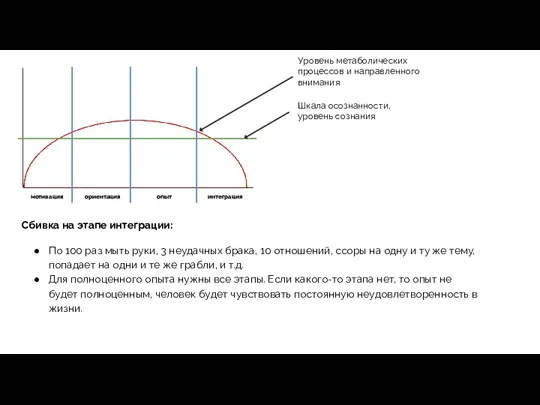 Уровень метаболических процессов и направленного внимания мотивация ориентация опыт интеграция