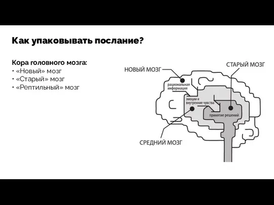 Как упаковывать послание? Кора головного мозга: • «Новый» мозг • «Старый» мозг • «Рептильный» мозг