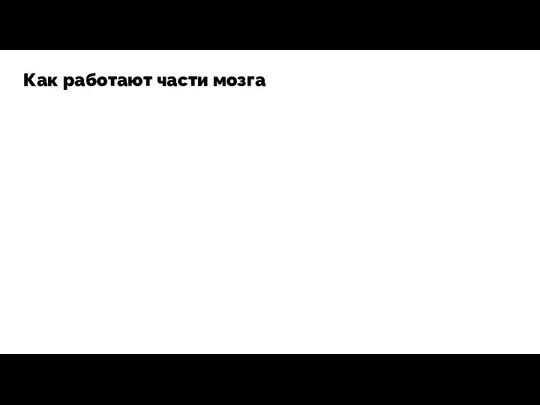 Как работают части мозга