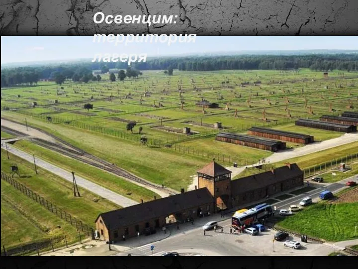 Освенцим: территория лагеря