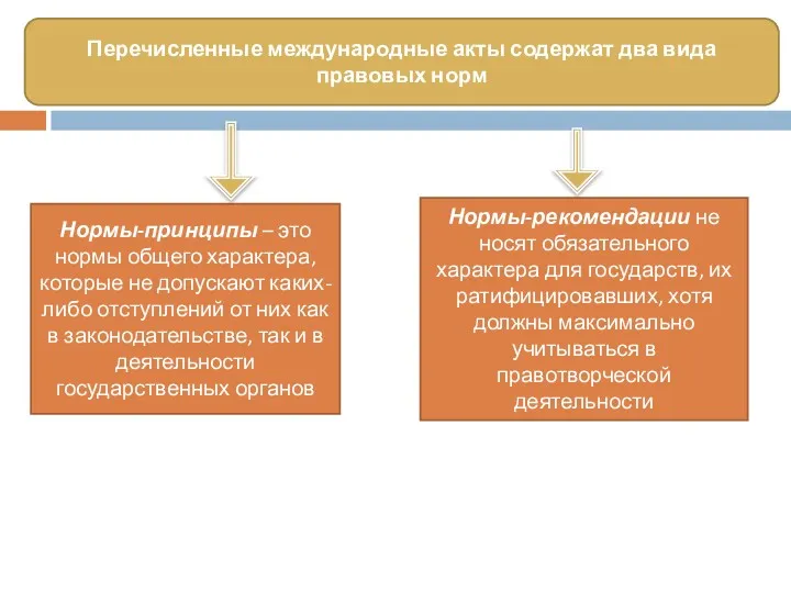 Перечисленные международные акты содержат два вида правовых норм Нормы-принципы – это нормы общего