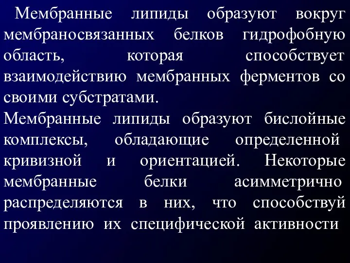 Мембранные липиды образуют вокруг мембраносвязанных белков гидрофобную область, которая способствует