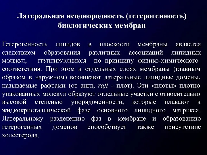 Латеральная неоднородность (гетерогенность) биологических мембран Гетерогенность липидов в плоскости мембраны