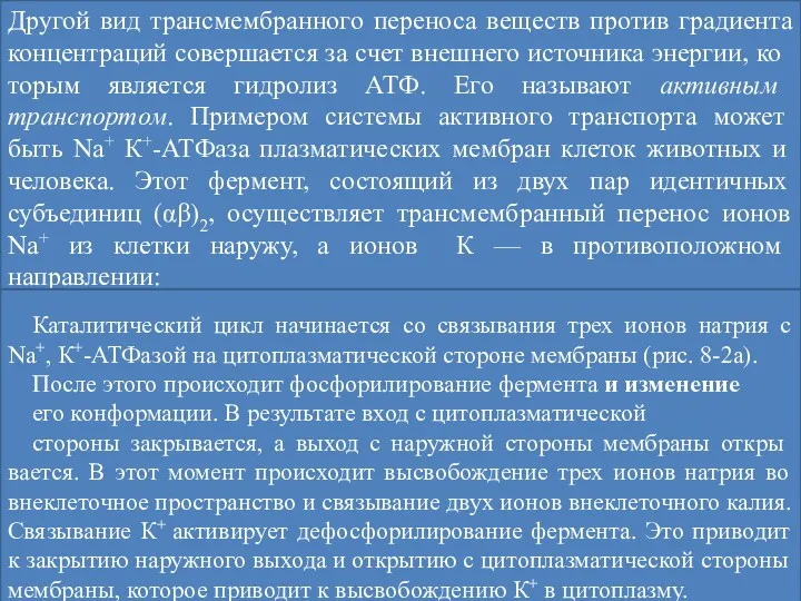 Другой вид трансмембранного переноса веществ против градиента концентраций совершается за