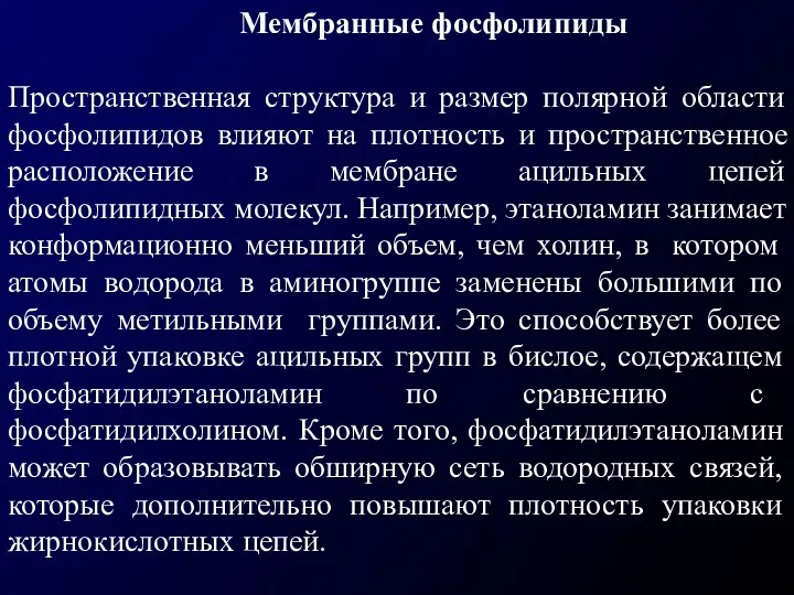 Мембранные фосфолипиды Пространственная структура и размер полярной области фосфолипидов влияют