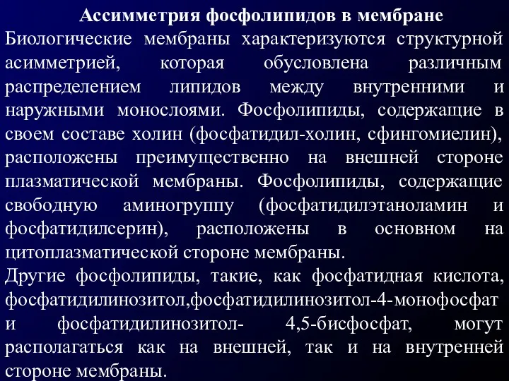 Ассимметрия фосфолипидов в мембране Биологические мембраны характеризуются структурной асимметрией, которая