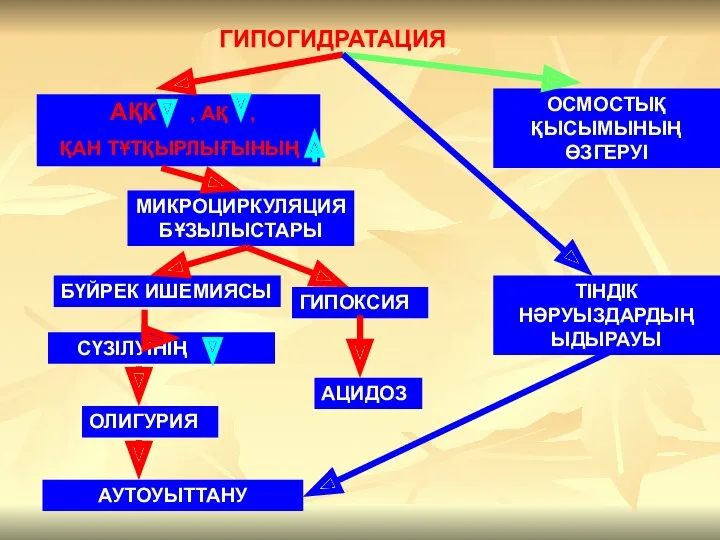 ГИПОГИДРАТАЦИЯ АҚК , АҚ , ҚАН ТҰТҚЫРЛЫҒЫНЫҢ МИКРОЦИРКУЛЯЦИЯБҰЗЫЛЫСТАРЫ БҮЙРЕК ИШЕМИЯСЫ