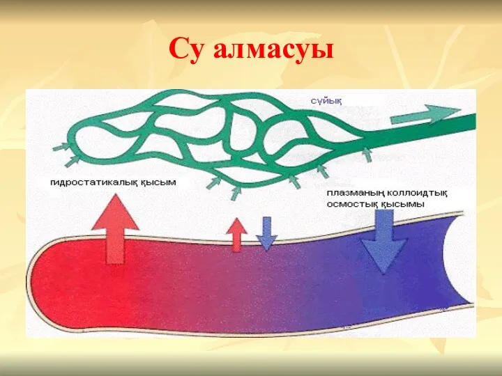 Су алмасуы