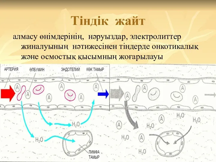 Тіндік жайт алмасу өнімдерінің, нәруыздар, электролиттер жиналуының нәтижесінен тіндерде онкотикалық және осмостық қысымның жоғарылауы