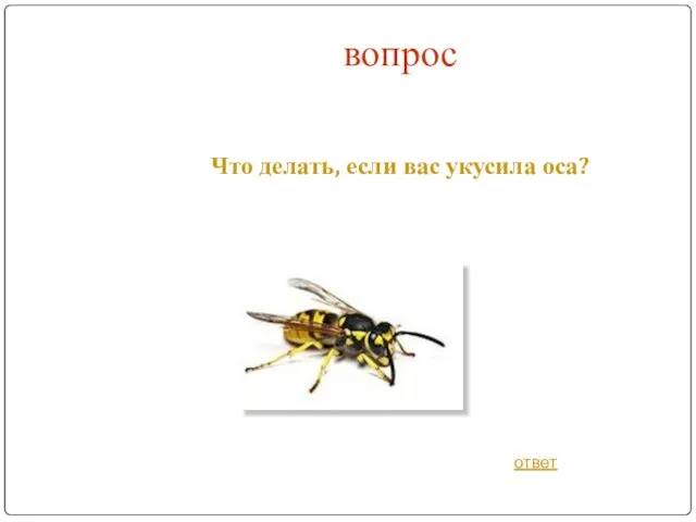 вопрос Что делать, если вас укусила оса? ответ