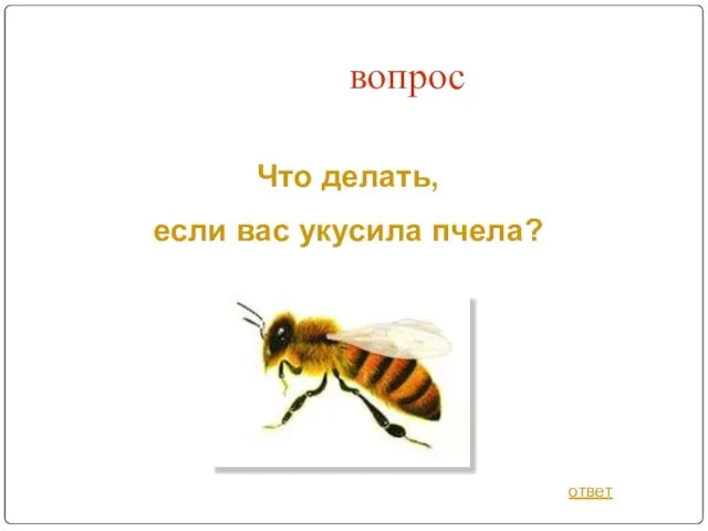 вопрос Что делать, если вас укусила пчела? ответ