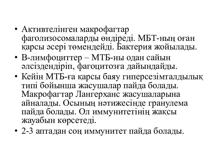 Активтелінген макрофагтар фаголизосомаларды өндіреді. МБТ-ның оған қарсы әсері төмендейді. Бактерия