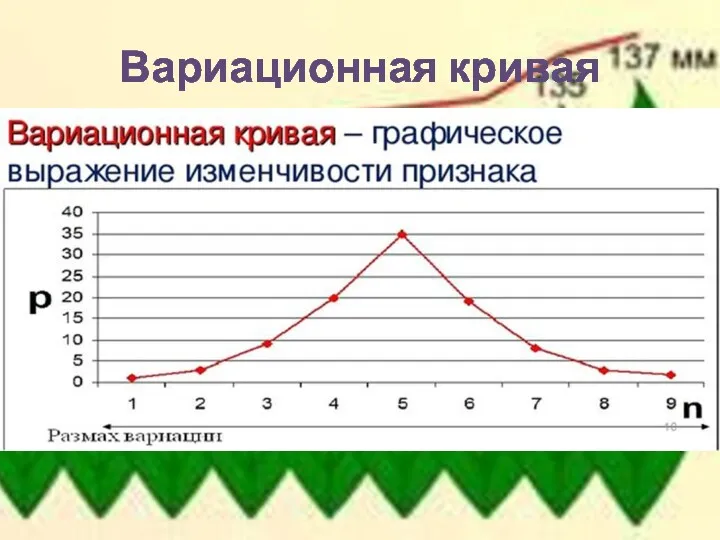 Вариационная кривая