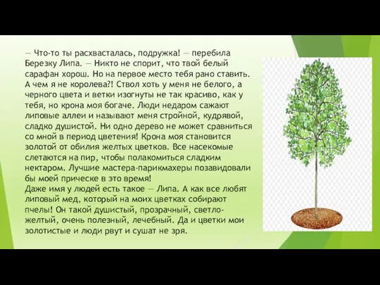 — Что-то ты расхвасталась, подружка! — перебила Березку Липа. —