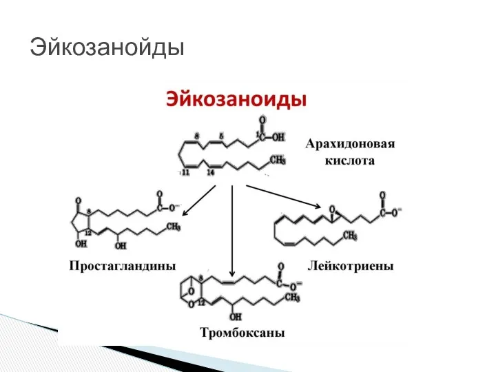 Эйкозанойды