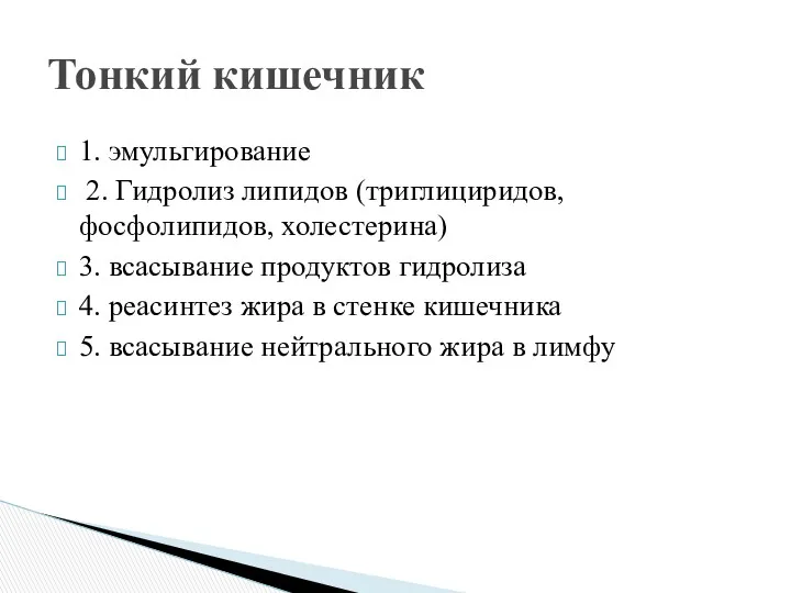 1. эмульгирование 2. Гидролиз липидов (триглициридов, фосфолипидов, холестерина) 3. всасывание