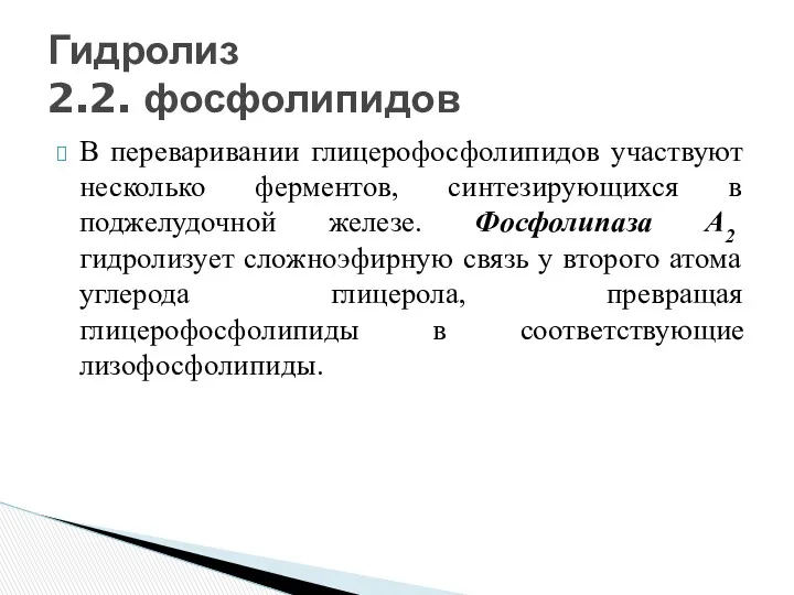 В переваривании глицерофосфолипидов участвуют несколько ферментов, синтезирующихся в поджелудочной железе.