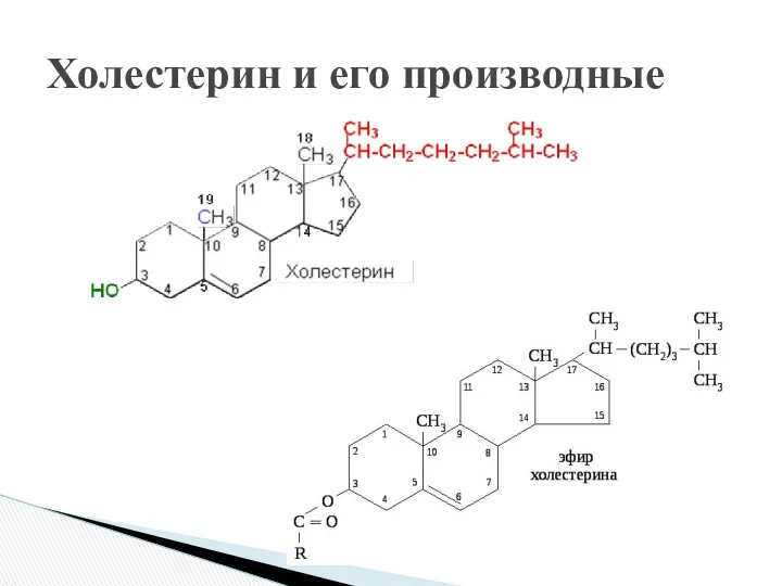 Холестерин и его производные