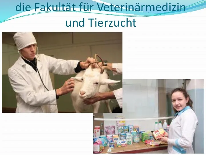 die Fakultät für Veterinärmedizin und Tierzucht