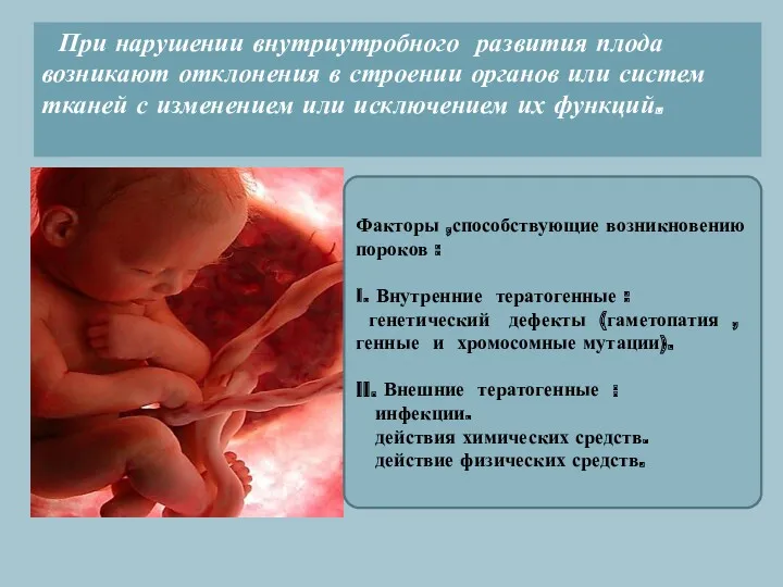 При нарушении внутриутробного развития плода возникают отклонения в строении органов