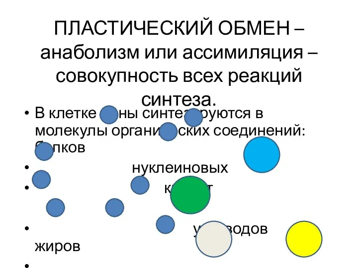 ПЛАСТИЧЕСКИЙ ОБМЕН – анаболизм или ассимиляция – совокупность всех реакций