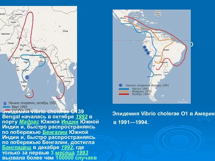 Эпидемия Vibrio cholerae O1 в Америке Эпидемия Vibrio cholerae O139