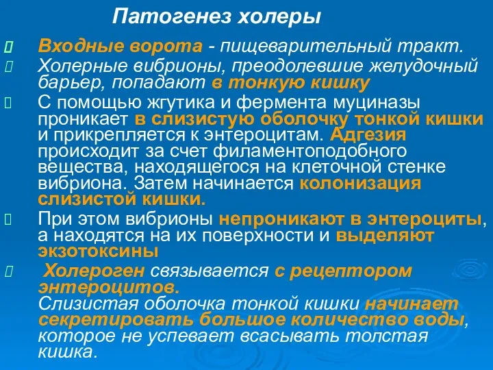 Входные ворота - пищеварительный тракт. Холерные вибрионы, преодолевшие желудочный барьер,