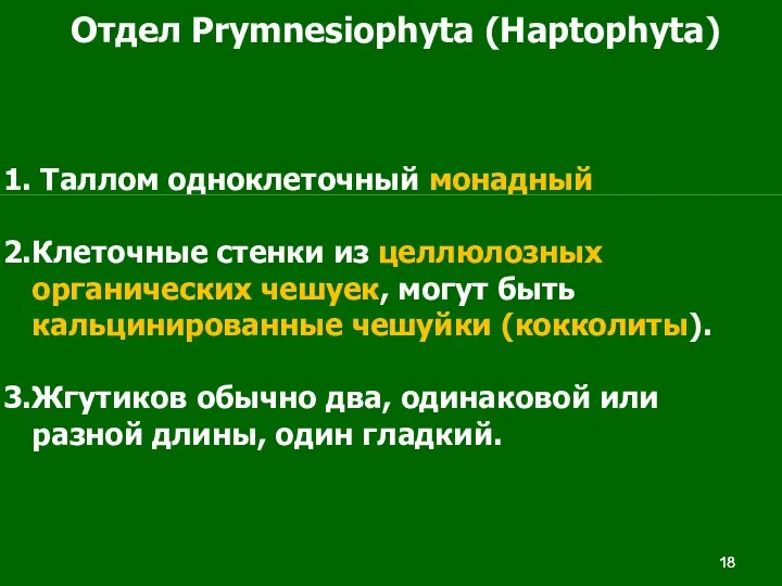 Отдел Prymnesiophyta (Haptophyta) Таллом одноклеточный монадный Клеточные стенки из целлюлозных