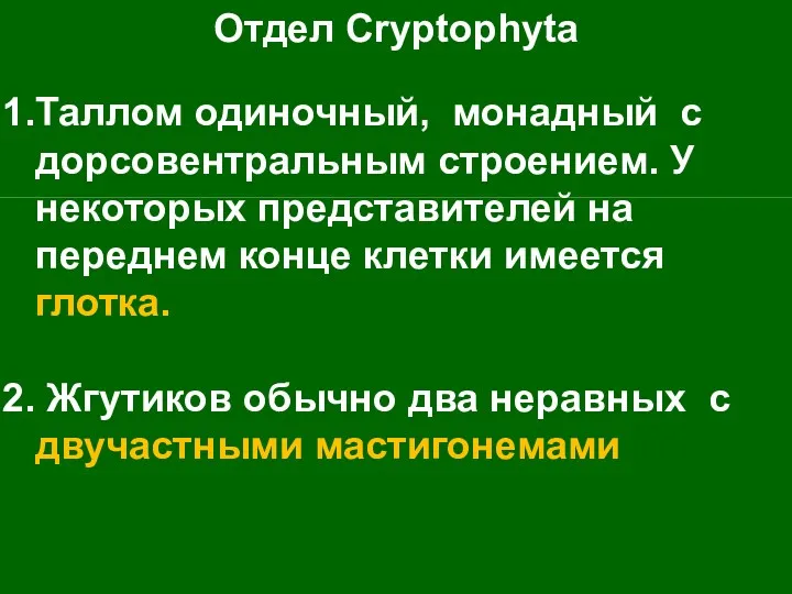 Отдел Cryptophyta Таллом одиночный, монадный с дорсовентральным строением. У некоторых