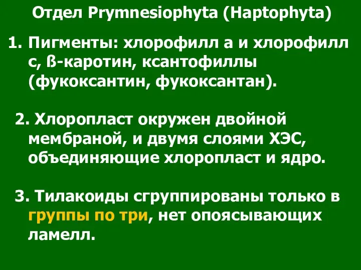 Отдел Prymnesiophyta (Haptophyta) Пигменты: хлорофилл а и хлорофилл с, ß-каротин,